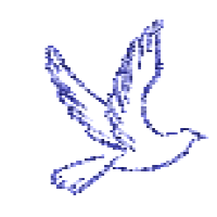 Dr Loves Perspectives